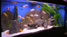 Aquarium Becken 128