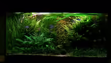 Aquarium Becken 13015
