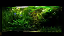 Aquarium Becken 13015