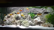Aquarium Becken 13030