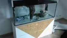 Aquarium Becken 13770