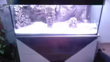 Aquarium Becken 13770