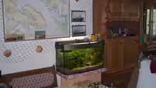 Aquarium Becken 13823