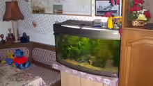 Aquarium Becken 13823