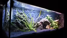 Aquarium Becken 14942