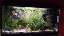 Aquarium Becken 14997