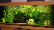 Aquarium Becken 15187