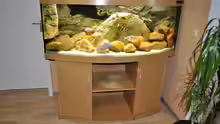 Aquarium Becken 16908