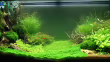 Aquarium Becken 19330