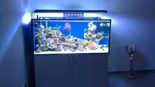 Aquarium Becken 19408