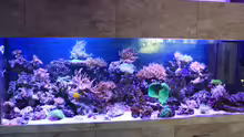 Aquarium Becken 22344