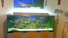 Aquarium Becken 22860 (nur noch als Beispiel)