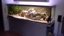Aquarium Becken 234
