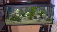 Aquarium Becken 2409