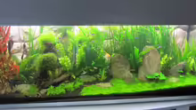 Aquarium Becken 26108