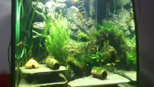 Aquarium Becken 27492