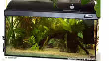Aquarium Becken 2761