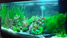 Aquarium Becken 27728