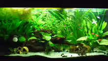 Aquarium Becken 27826 (Nur noch als Beispiel)