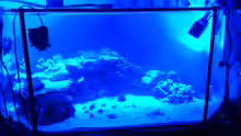 Aquarium Becken 28039