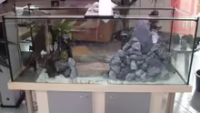 Aquarium Becken 2903