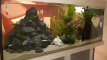 Aquarium Becken 2903