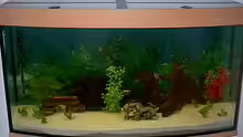 Aquarium Becken 2970