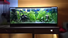 Aquarium Becken 30761