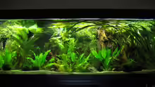 Aquarium Becken 341