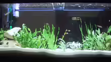 Aquarium Becken 357