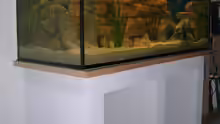 Aquarium Becken 3719