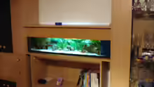 Aquarium Becken 3934