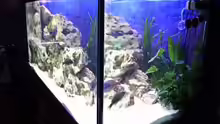 Aquarium Becken 396