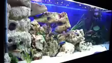 Aquarium Becken 396