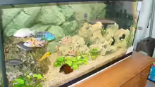 Aquarium Becken 424
