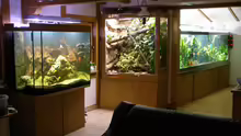 Aquarium Becken 4412