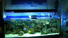 Aquarium Becken 4655
