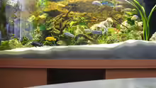 Aquarium Becken 4795