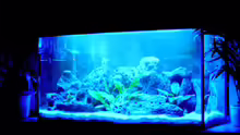 Aquarium Becken 492