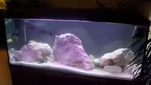 Aquarium Becken 5049