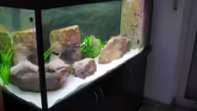 Aquarium Becken 5255