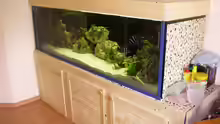 Aquarium Becken 533