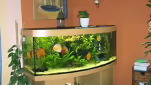 Aquarium Becken 5673