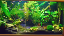 Aquarium Becken 5755