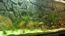 Aquarium Becken 5903