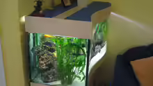 Aquarium Becken 607