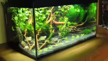 Aquarium Becken 6137