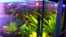 Aquarium Becken 6233