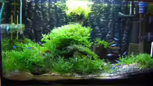 Aquarium Becken 6270