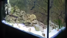 Aquarium Becken 6271